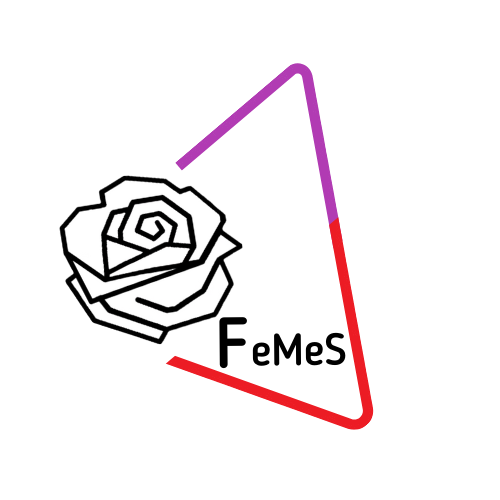 COMUNICADO FeMeS -Acosadores fuera del PSOE- POSICION DE FEMES ANTE EL CASO SALAZAR Y OTROS